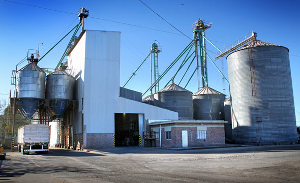 Molinos